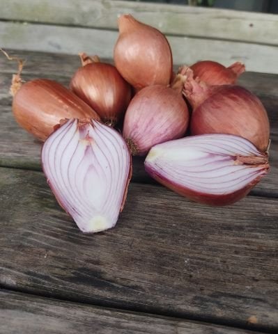 Organik Kuru Soğan (1Kg)