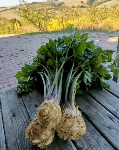 Organik Kereviz (1Kg)