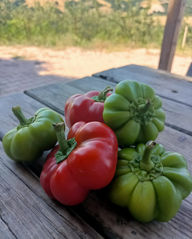 Organik Renkli Kamber Biber (500gr)