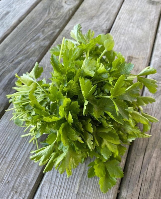 Organik Maydanoz (Demet)