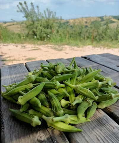 Organik Kızartmalık İri Bamya (400gr) görseli.