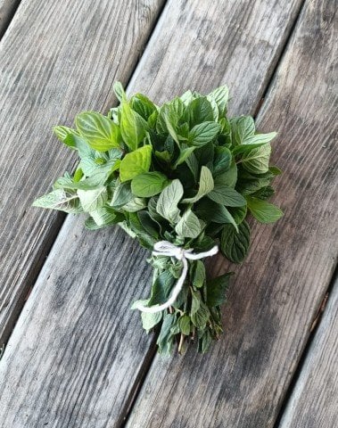 Organik Nane (Demet)