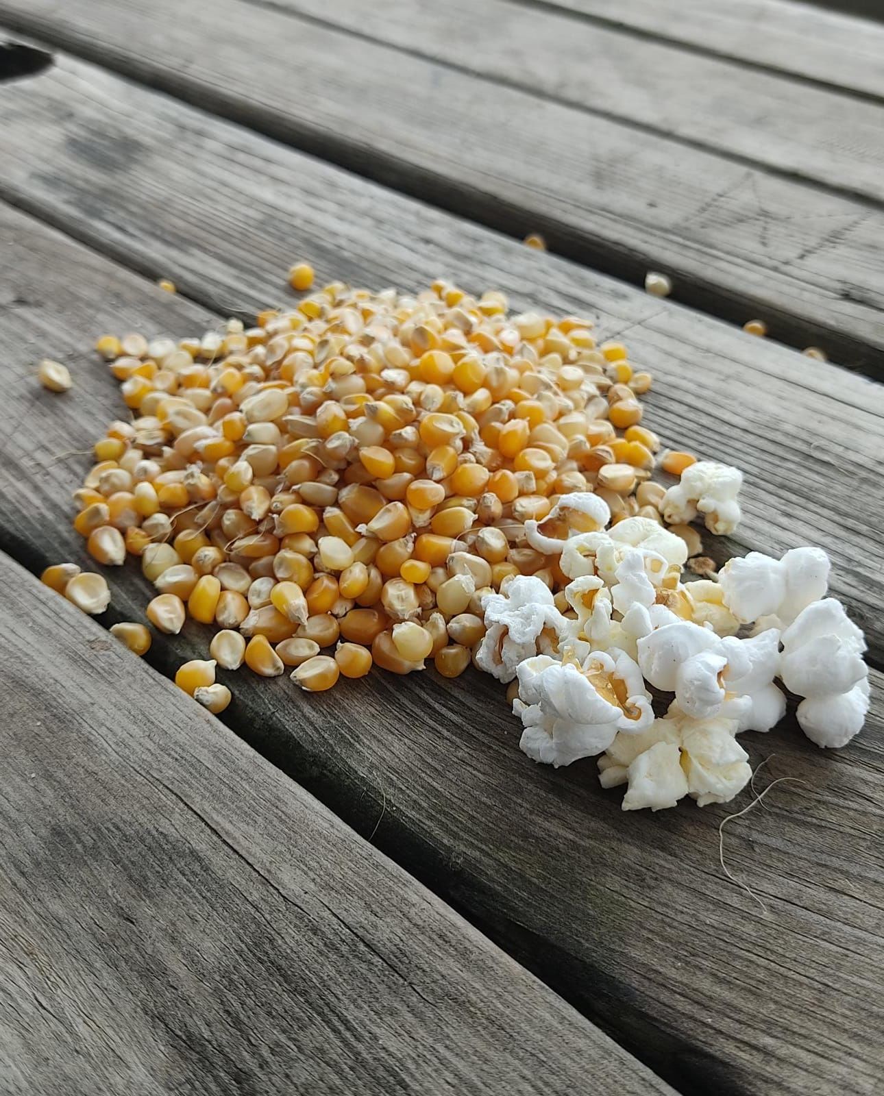 Organik Cin Mısır (600gr)