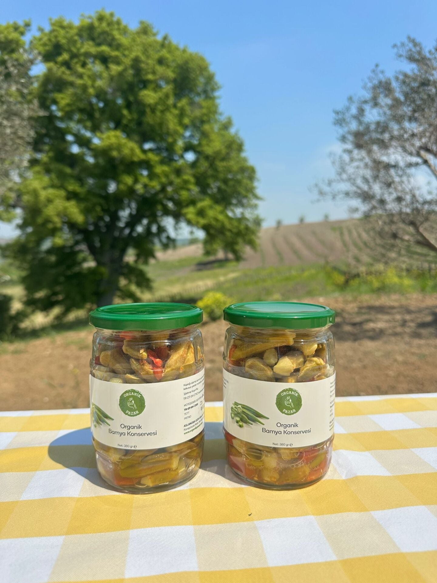 2'li Organik Bamya Konservesi