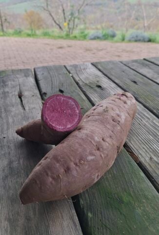 Tatlı Mor Patates (1Kg)