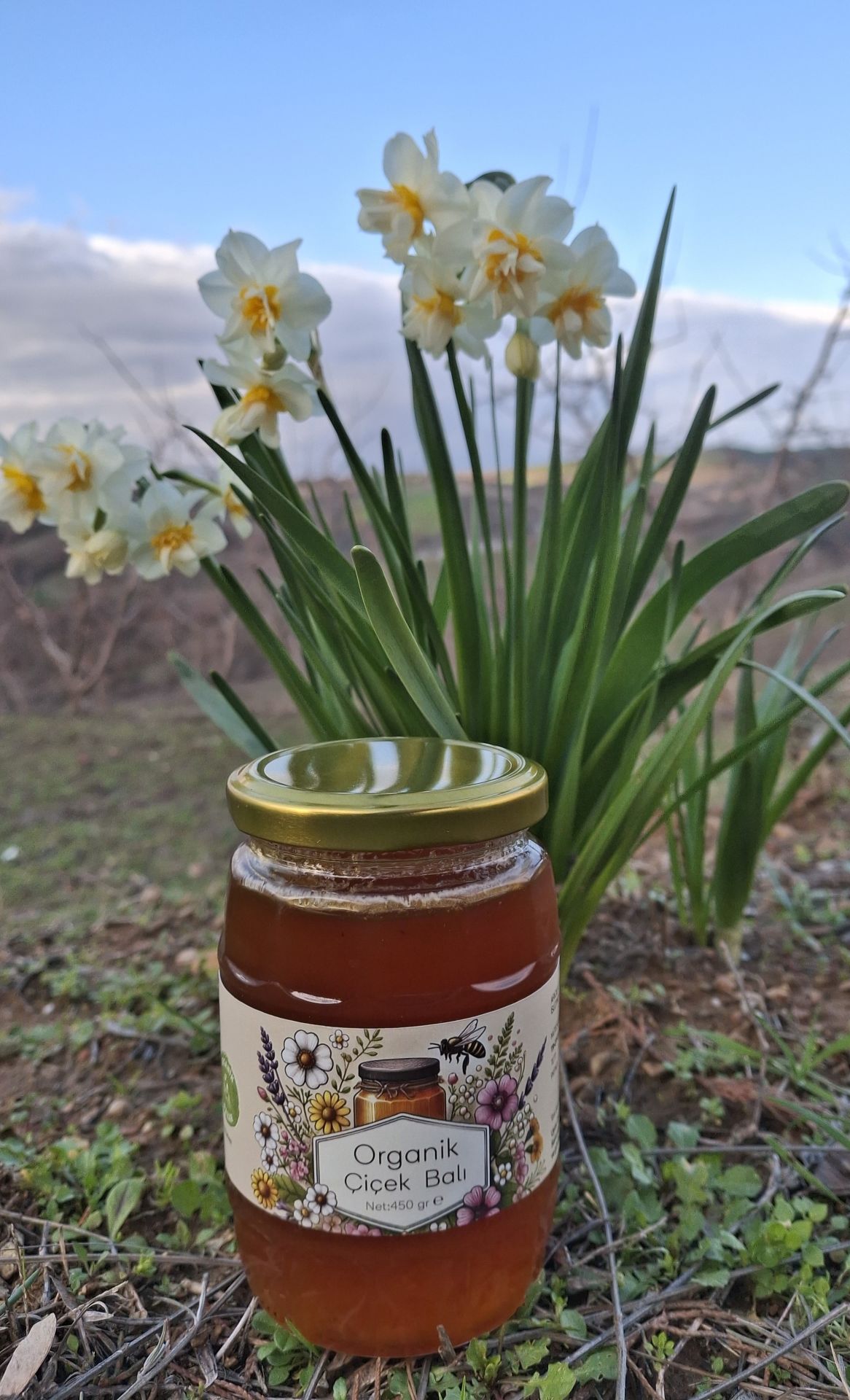 Organik Çiçek Balı (450gr)