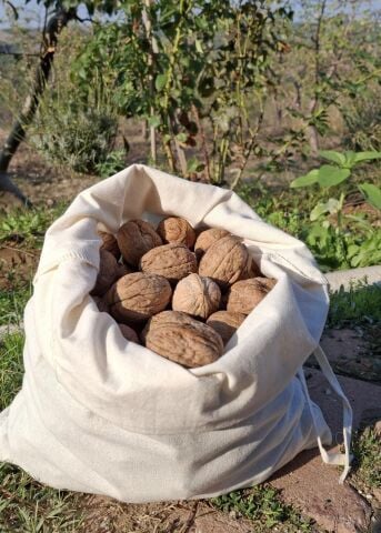 Organik Ceviz - (2,5  kg)