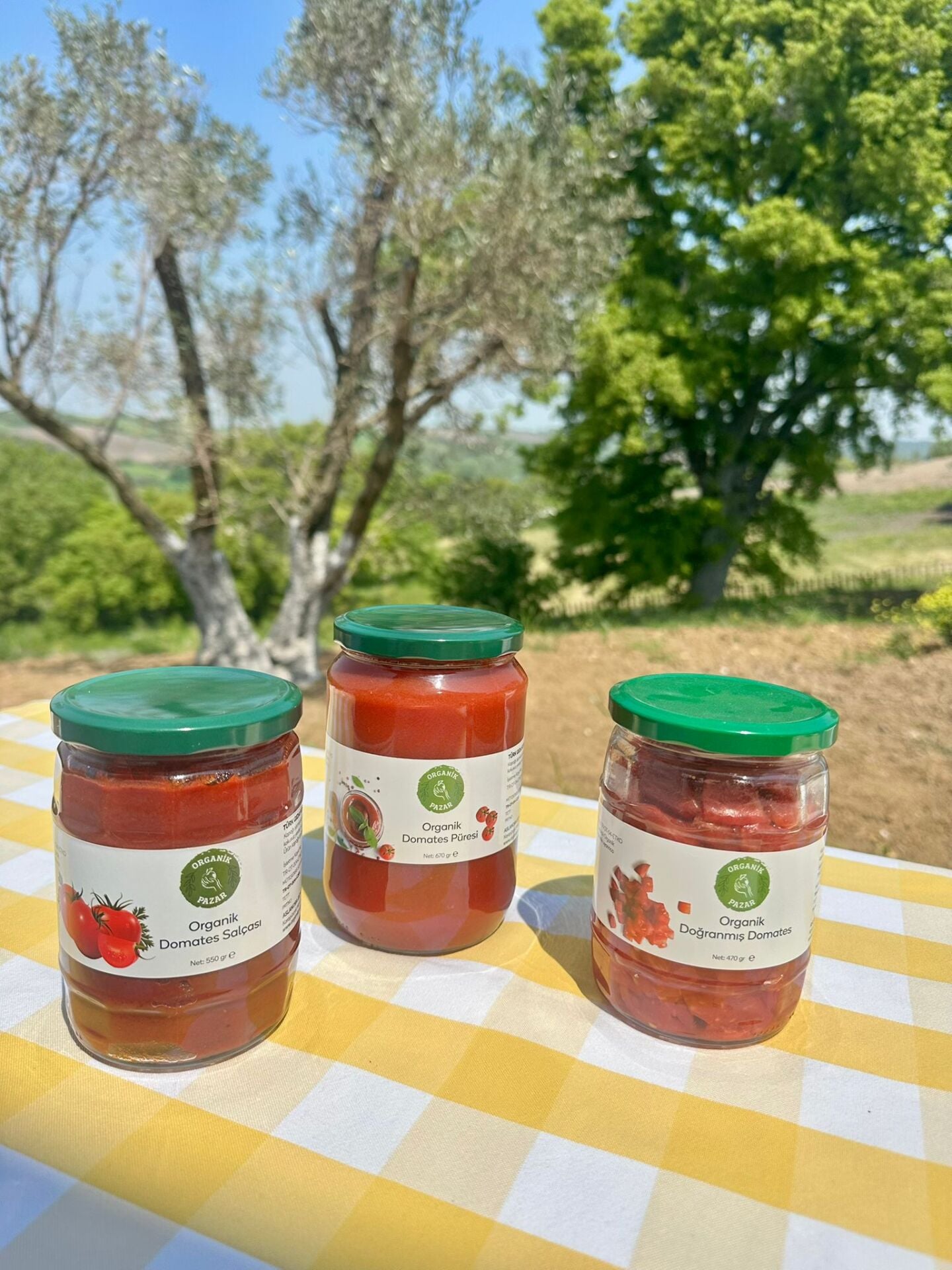 Organik Domates Konserve Paketi
