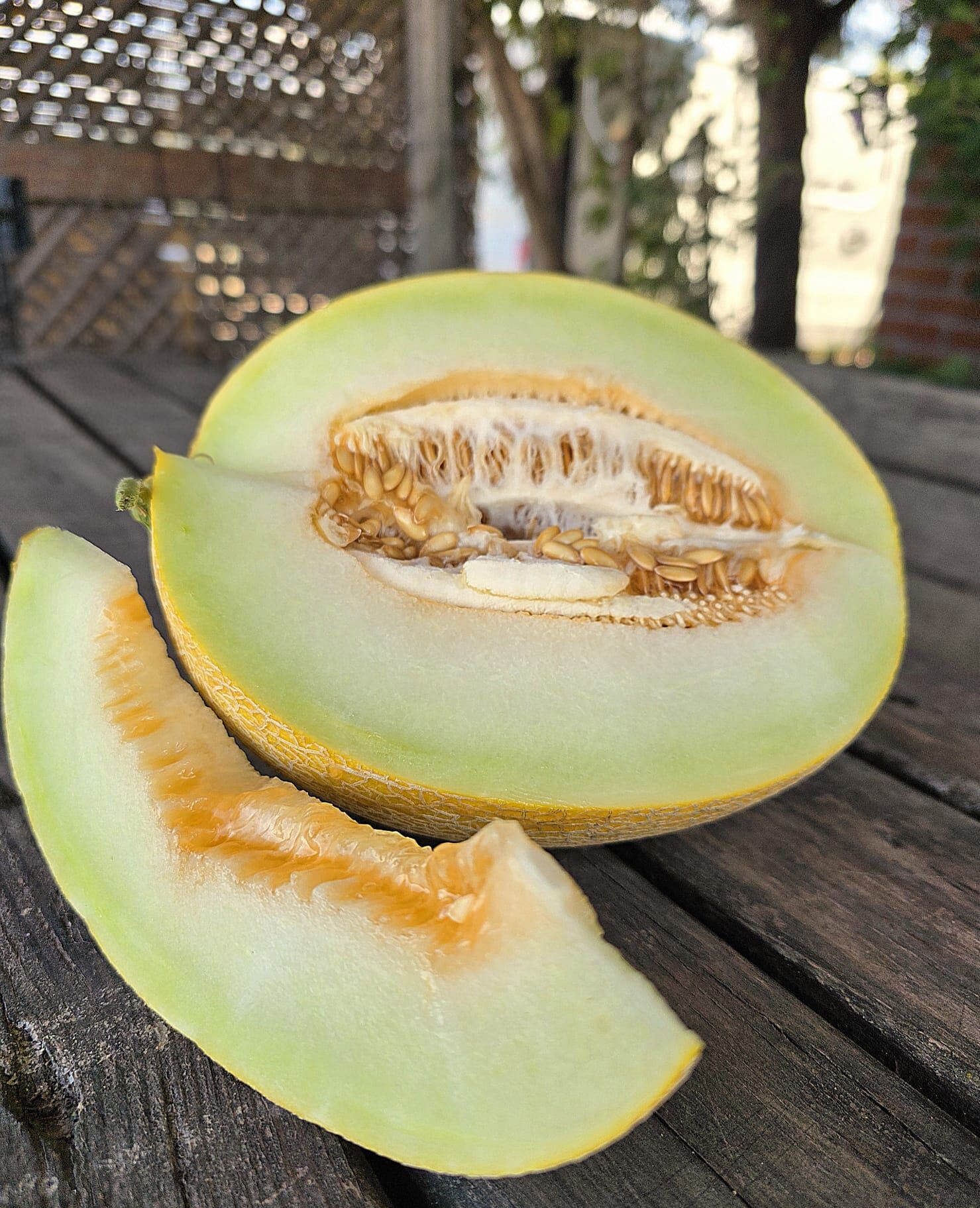 Organik Kavun ( 1,5 -2,5 kg )