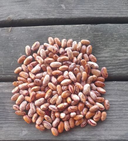 Organik Barbunya  (750 gr)