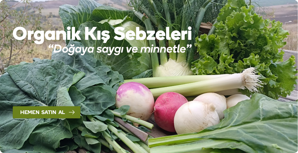 Organik Kış Sebzeleri