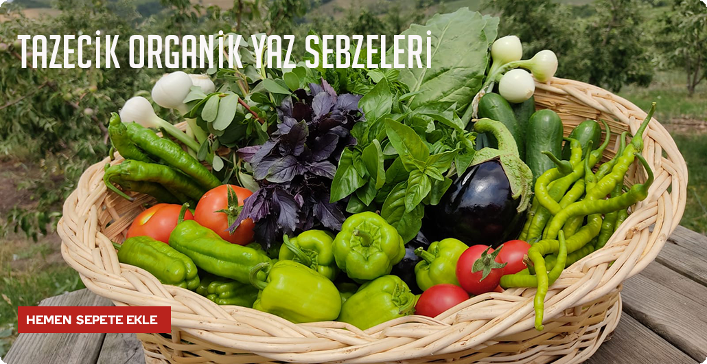 Yaz Sebzeleri