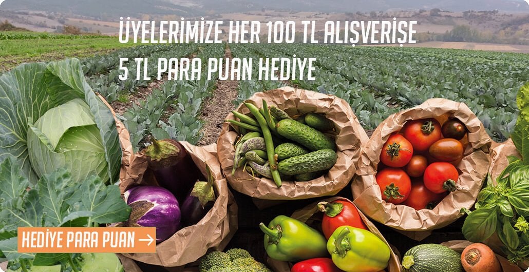 Hediye Para Puan